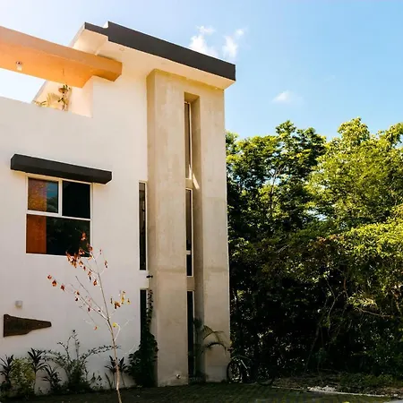 Relaxing Comfortable Jungle View Eklum Villa Rivera Maya Puerto Morelos Pool Ac Gym Gated Community-2