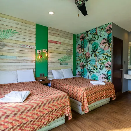 Hotel All Riviera-3