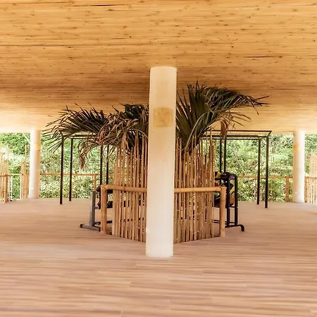 Relax And Enjoy The Luxury New Studio And Feel The Mayan Jungle-2
