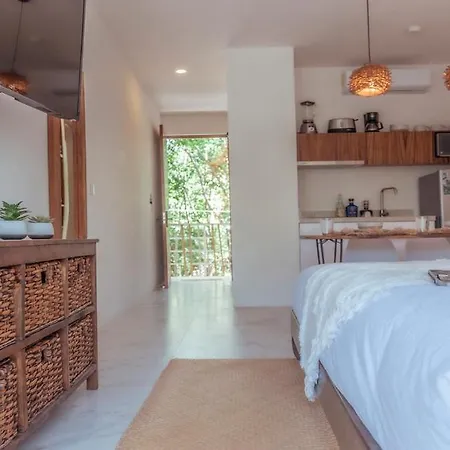 Relax And Enjoy The Luxury New Studio And Feel The Mayan Jungle-3