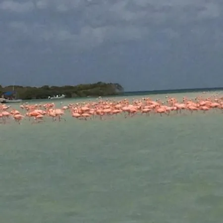 Hostal Holbox-3