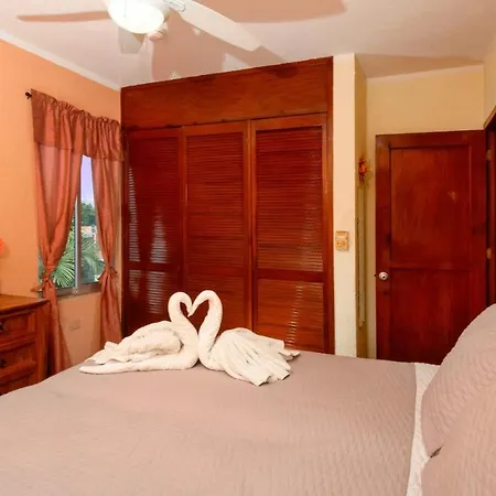 Centrally Located Top Floor Condo With Rooftop Access Buena Vista 3A-3