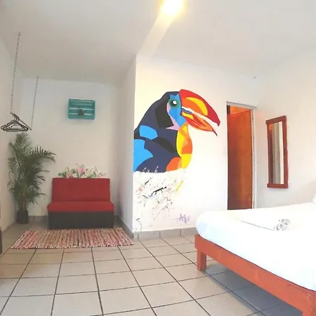 Kasa Guajira-3