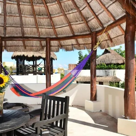 Blue Palms Suites, Pool Onsite, Steps To The Beach & 5Th Ave-3