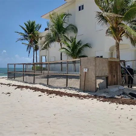 Peaceful & Beautiful 3 Min Walking To The Beach-3