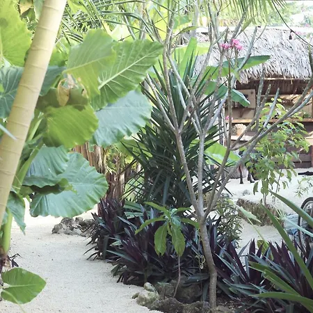 Cada Iguana, By Jungla Bacalar 5Ta Av.-2