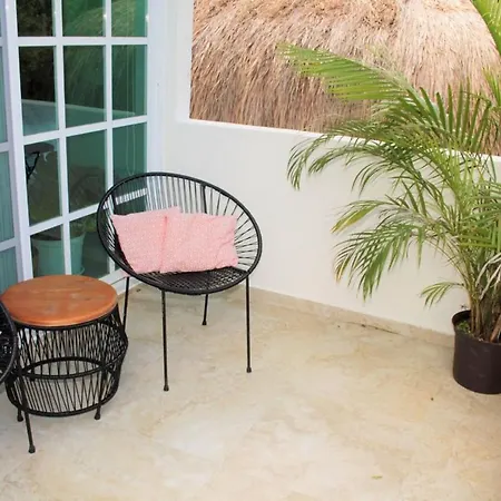 Estudio Tucanes-2
