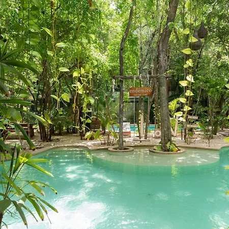 Boho 1Bdr Condo Plunge Pool Gym 100 Mbps Wifi-3