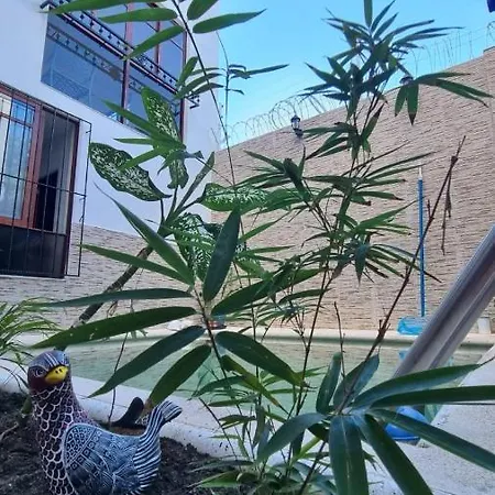 Mexicanblue-3