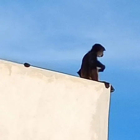 La Casa En Contacto Con La Naturaleza-3
