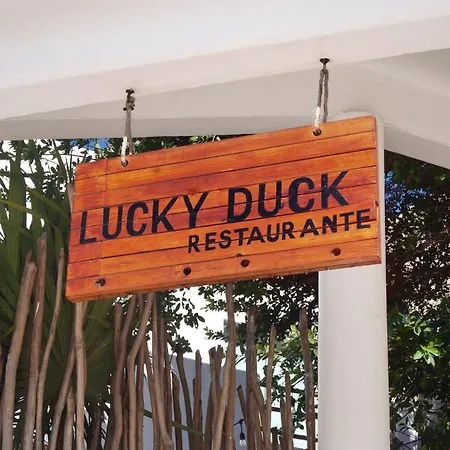 Lucky Duck Pj-2