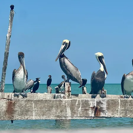 Casa Soho Holbox Room 3-3