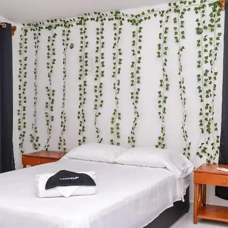 Zely Home-2