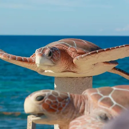 Casa Coral 1-2