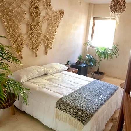 Hotel Serena Glamping Tulum (Adults Only)-3