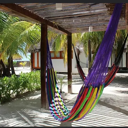 Rhincodon Typus, Holbox Eco•Boutique•Palapas-3