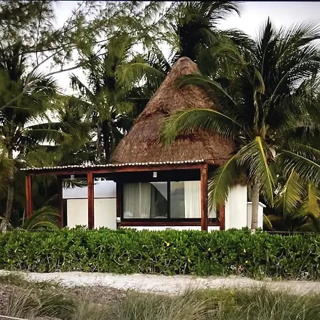 Rhincodon Typus, Holbox Eco•Boutique•Palapas-2