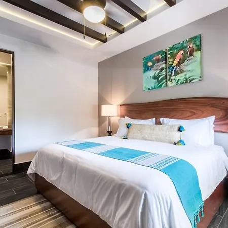 Kasa Hotel Parota Tulum-3