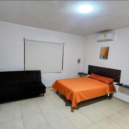 Estudios Navarro-2