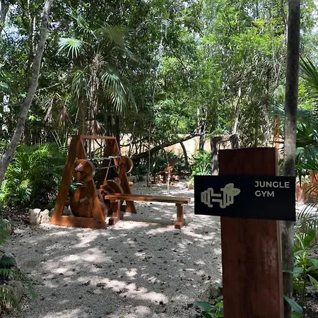Arena Tuane-2