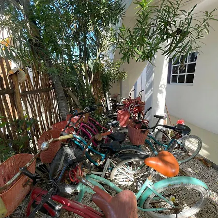 Brisa Del Mar Holbox-2