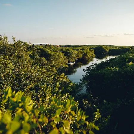 Uman Glamping & Cenote Tulum-3