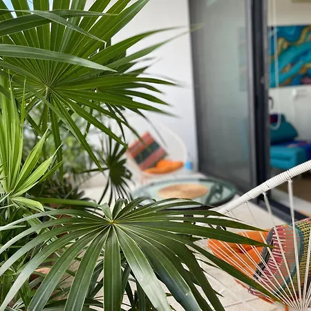 Family Apartments Near Beach Polo88-3