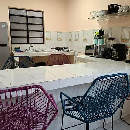 Downtown Apartment One Block From The Ocean - Casa Aluxes-3