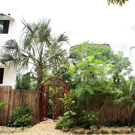 Maison Bacalar-3
