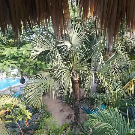 Zamunda Garden View-3