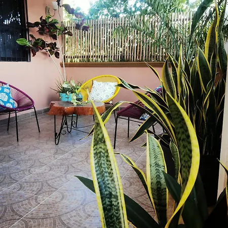El Roble Hotel-3