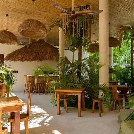 Beautiful Swim-Up Studio With Private Terrace, Pool And Jungle Gym-2