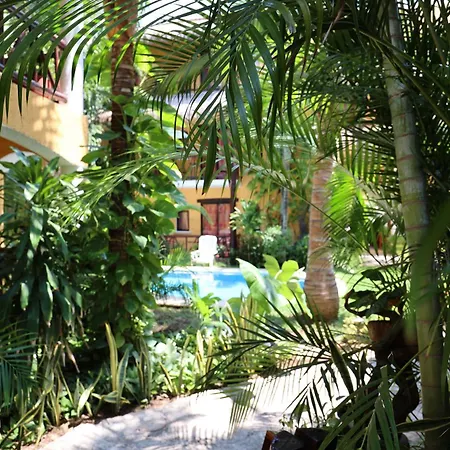 Hotel Bosque Caribe, 5Th Av. Zone-2