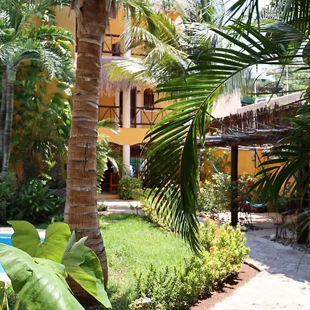 Hotel Bosque Caribe, 5Th Av. Zone-3