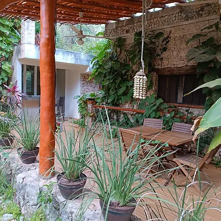 Jungle Lodge Cancun Aeropuerto-2