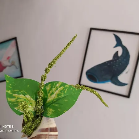 Casa Ohana-Disfruta Del Paraiso-2