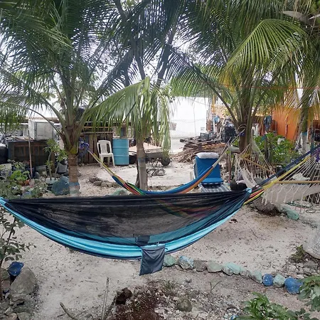 Voluntary & Camping-2
