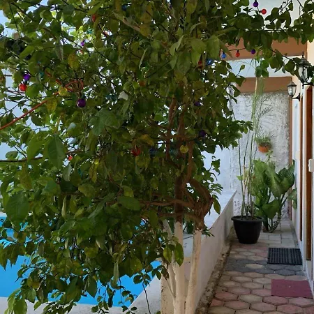 Casa Terracota-3