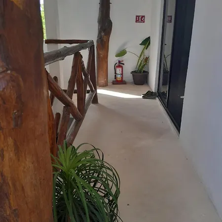 Kin Studios Holbox-3