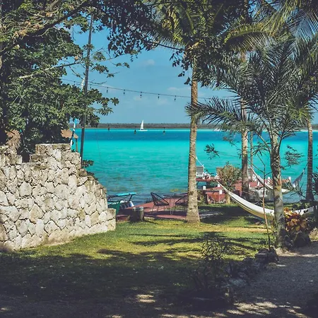 Tortuga Bacalar-2