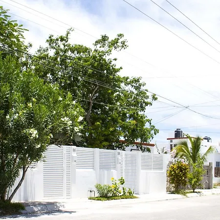 Filrentas Tulum-2
