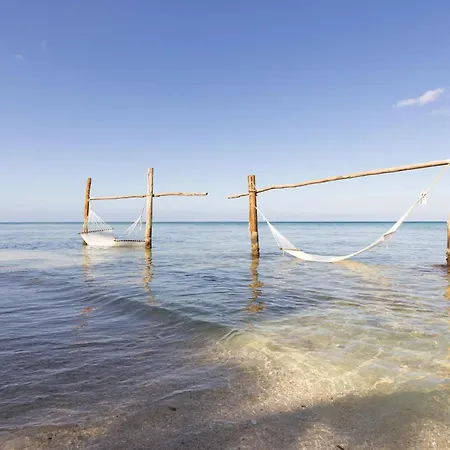 Sunscape Sabor Cozumel-2