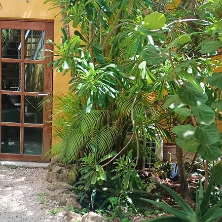 Casa Abanico Tulum-3