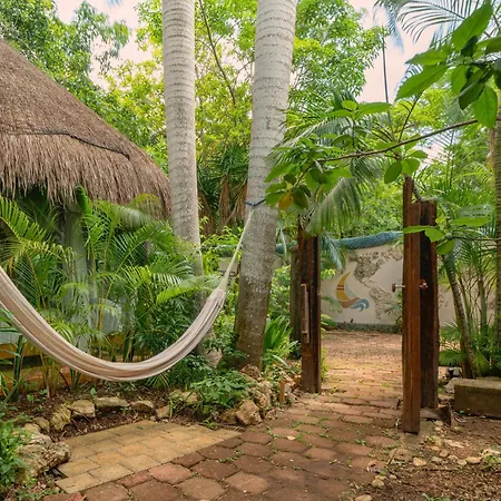Oma Cancun - Holistic Healing Center-3