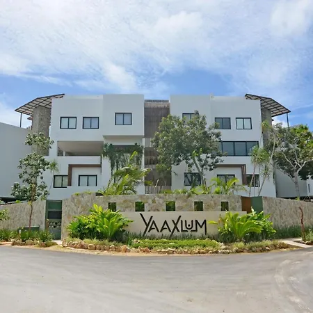 Oasis Yaaxlum-2