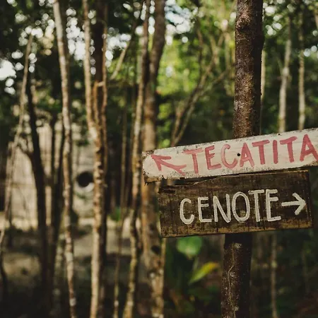 Casa Costal - Glamping Experience-3