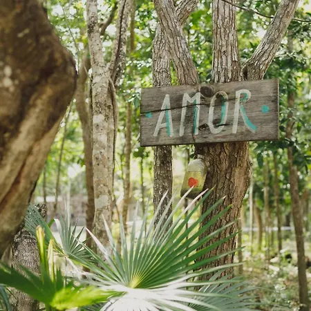 Casa Costal - Glamping Experience-2