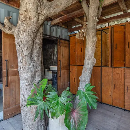 Meteora Stay & Coffeehouse Tulum-3
