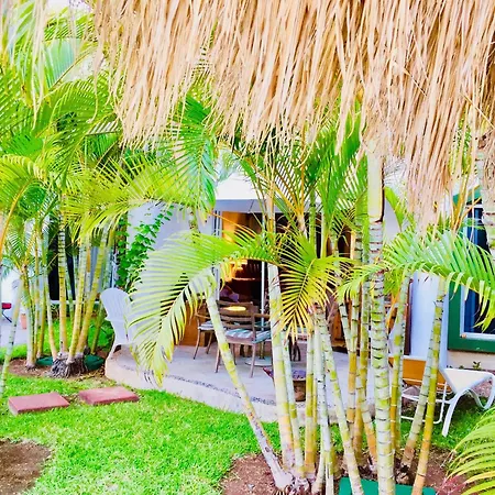 Playacar-3