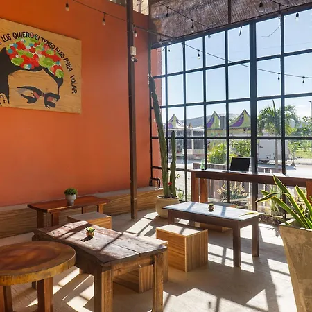 Casa Frida-2